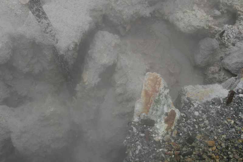 Nieuw-Zeeland 2011 - 0595